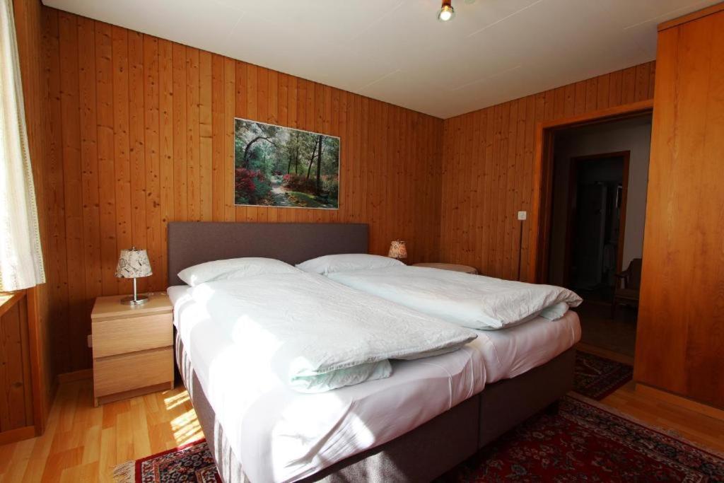 Hotel-Restaurant Alpina Innertkirchen Exteriér fotografie